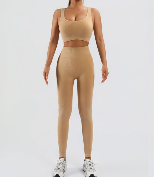 Seamless High Waist Gym Outfit