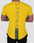 Men's slim-fit cotton gym t-shirt, colour option 5