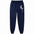 Women's Print Drawstring Jogger Pants