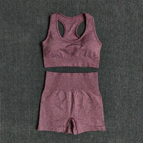 Women Seamless 2PCS Yoga Set Sports Bra High Waist Fitness Gym Shorts