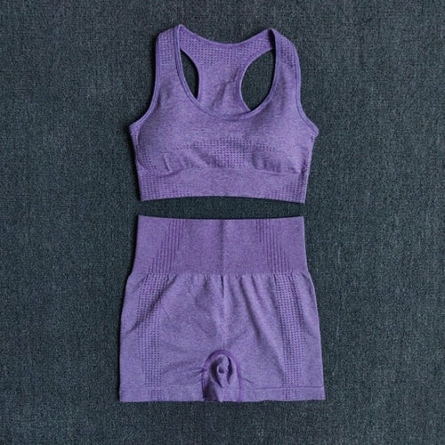 Women Seamless 2PCS Yoga Set Sports Bra High Waist Fitness Gym Shorts
