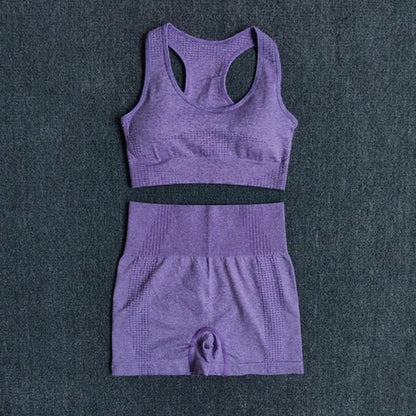 Women Seamless 2PCS Yoga Set Sports Bra High Waist Fitness Gym Shorts