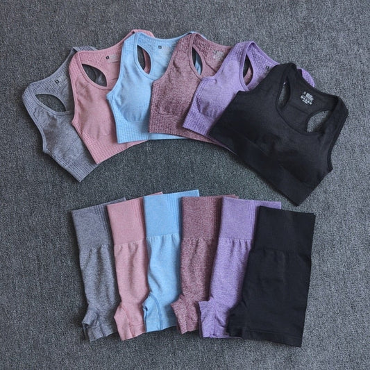 Women Seamless 2PCS Yoga Set Sports Bra High Waist Fitness Gym Shorts