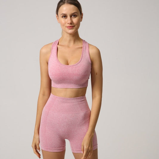 Women Seamless 2PCS Yoga Set Sports Bra High Waist Fitness Gym Shorts