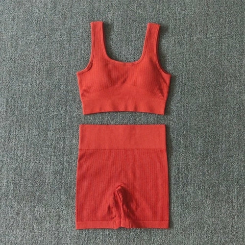 2PCS Women Yoga Set Gym Set Sexy Bra Seamless Sports Shorts Workout